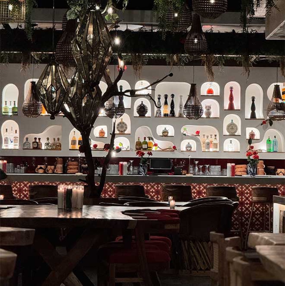 The bar at Rosa Madera, lined with arched niches and tequila
